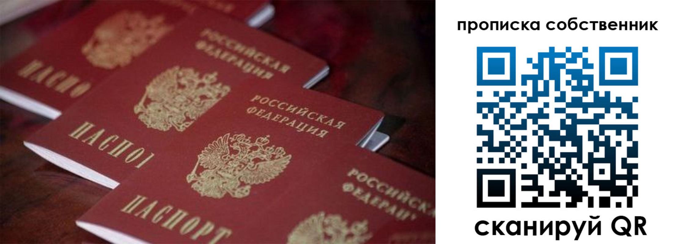 регистрация в Судогде